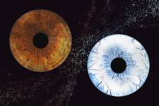 Jean-Marc PENRATH - STUDIO DES VIGNES D'AVARICUM